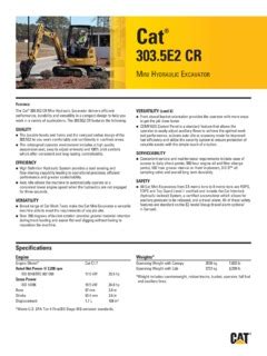 303.5 e2|cat 303.5e2 spec sheet.